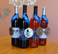 Finger Lake 2012 Award Winners from The Hive Winery